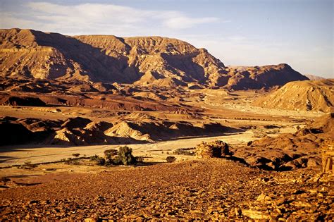 sinai desert pictures